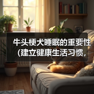 牛头梗犬睡眠的重要性(建立健康生活习惯,让宠物更健康)(图1) 牛头梗犬睡眠的重要性(建立健康生活习惯,让宠物更健康)(图1)