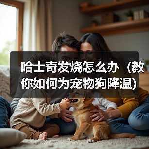 哈士奇发烧怎么办(教你如何为宠物狗降温)(图4) 哈士奇发烧怎么办(教你如何为宠物狗降温)(图4)
