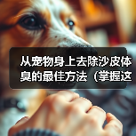 从宠物身上去除沙皮体臭的最佳方法(掌握这些技巧,让你的宠物永远散发清新香气!)(图2) 从宠物身上去除沙皮体臭的最佳方法(掌握这些技巧,让你的宠物永远散发清新香气!)(图2)