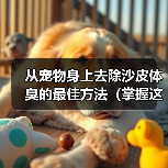从宠物身上去除沙皮体臭的最佳方法(掌握这些技巧,让你的宠物永远散发清新香气!)(图4) 从宠物身上去除沙皮体臭的最佳方法(掌握这些技巧,让你的宠物永远散发清新香气!)(图4)