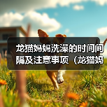 龙猫妈妈洗澡的时间间隔及注意事项(龙猫妈妈洗澡的频率、水温和洗澡方式)(图1) 龙猫妈妈洗澡的时间间隔及注意事项(龙猫妈妈洗澡的频率、水温和洗澡方式)(图1)