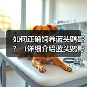 如何正确饲养蓝头鹦哥?(详细介绍蓝头鹦哥的生活习性和健康管理方法)(图4) 如何正确饲养蓝头鹦哥?(详细介绍蓝头鹦哥的生活习性和健康管理方法)(图4)