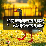 如何正确饲养蓝头鹦哥?(详细介绍蓝头鹦哥的生活习性和健康管理方法)(图1) 如何正确饲养蓝头鹦哥?(详细介绍蓝头鹦哥的生活习性和健康管理方法)(图1)