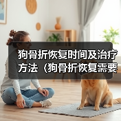 狗骨折恢复时间及治疗方法（狗骨折恢复需要多长时间？如何帮助狗狗快速康复？）（图1）