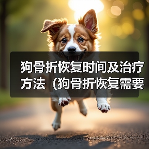 狗骨折恢复时间及治疗方法（狗骨折恢复需要多长时间？如何帮助狗狗快速康复？）（图2）