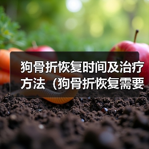狗骨折恢复时间及治疗方法（狗骨折恢复需要多长时间？如何帮助狗狗快速康复？）（图4）