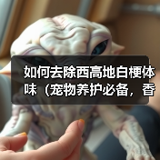 如何去除西高地白梗体味(宠物养护必备,香气环绕)(图4) 如何去除西高地白梗体味(宠物养护必备,香气环绕)(图4)