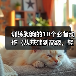 训练狗狗的10个必备动作(从基础到高级,轻松教会你的爱犬)(图1) 训练狗狗的10个必备动作(从基础到高级,轻松教会你的爱犬)(图1)
