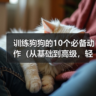 训练狗狗的10个必备动作(从基础到高级,轻松教会你的爱犬)(图3) 训练狗狗的10个必备动作(从基础到高级,轻松教会你的爱犬)(图3)