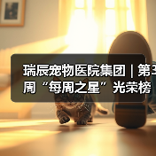 瑞辰宠物医院集团 | 第3周“每周之星”光荣榜(图3) 瑞辰宠物医院集团 | 第3周“每周之星”光荣榜(图3)
