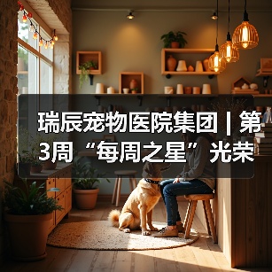 瑞辰宠物医院集团 | 第3周“每周之星”光荣榜(图4) 瑞辰宠物医院集团 | 第3周“每周之星”光荣榜(图4)