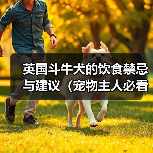 英国斗牛犬的饮食禁忌与建议(宠物主人必看,了解英国斗牛犬的饮食营养需求)(图3) 英国斗牛犬的饮食禁忌与建议(宠物主人必看,了解英国斗牛犬的饮食营养需求)(图3)