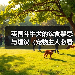 英国斗牛犬的饮食禁忌与建议(宠物主人必看,了解英国斗牛犬的饮食营养需求)(图4) 英国斗牛犬的饮食禁忌与建议(宠物主人必看,了解英国斗牛犬的饮食营养需求)(图4)