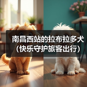 南昌西站的拉布拉多犬(快乐守护旅客出行)(图2) 南昌西站的拉布拉多犬(快乐守护旅客出行)(图2)
