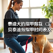 泰迪犬的指甲剪裁(宝贝泰迪剪指甲时间表及注意事项)(图1) 泰迪犬的指甲剪裁(宝贝泰迪剪指甲时间表及注意事项)(图1)