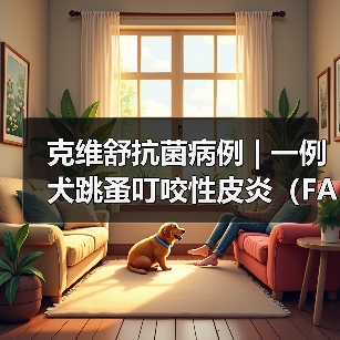 克维舒抗菌病例 | 一例犬跳蚤叮咬性皮炎（FAD）的病例分析（图1）