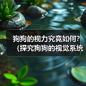 狗狗的视力究竟如何?(探究狗狗的视觉系统与常见视力问题)(图2) 狗狗的视力究竟如何?(探究狗狗的视觉系统与常见视力问题)(图2)