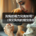 狗狗的视力究竟如何?(探究狗狗的视觉系统与常见视力问题)(图3) 狗狗的视力究竟如何?(探究狗狗的视觉系统与常见视力问题)(图3)