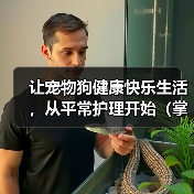 让宠物狗健康快乐生活,从平常护理开始(掌握这些要点,让狗狗更健康更快乐)(图4) 让宠物狗健康快乐生活,从平常护理开始(掌握这些要点,让狗狗更健康更快乐)(图4)