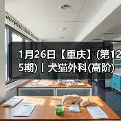 1月26日【重庆】(第125期)丨犬猫外科(高阶)班!含SUB(人人可实操)、乳糜胸等技术!(图4) 1月26日【重庆】(第125期)丨犬猫外科(高阶)班!含SUB(人人可实操)、乳糜胸等技术!(图4)