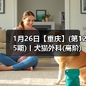 1月26日【重庆】(第125期)丨犬猫外科(高阶)班!含SUB(人人可实操)、乳糜胸等技术!(图3) 1月26日【重庆】(第125期)丨犬猫外科(高阶)班!含SUB(人人可实操)、乳糜胸等技术!(图3)