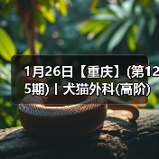 1月26日【重庆】(第125期)丨犬猫外科(高阶)班!含SUB(人人可实操)、乳糜胸等技术!(图1) 1月26日【重庆】(第125期)丨犬猫外科(高阶)班!含SUB(人人可实操)、乳糜胸等技术!(图1)