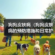 狗狗皮肤病（狗狗皮肤病的预防措施和日常护理）（图2）