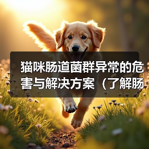 猫咪肠道菌群异常的危害与解决方案（了解肠道菌群的重要性，有效预防猫咪疾病）（图1）