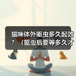 猫咪体外驱虫多久起效？（驱虫后要等多久才能见效？）（图1）