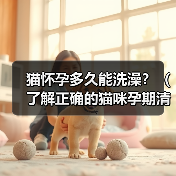 猫怀孕多久能洗澡?(了解正确的猫咪孕期清洁护理方法)(图1) 猫怀孕多久能洗澡?(了解正确的猫咪孕期清洁护理方法)(图1)