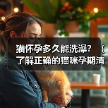 猫怀孕多久能洗澡?(了解正确的猫咪孕期清洁护理方法)(图3) 猫怀孕多久能洗澡?(了解正确的猫咪孕期清洁护理方法)(图3)