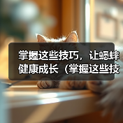 掌握这些技巧，让蟋蟀健康成长（掌握这些技巧，让蟋蟀健康成长）（图3）