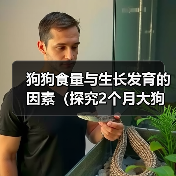 狗狗食量与生长发育的因素（探究2个月大狗狗的食量变化及其影响因素）（图1）