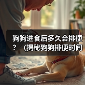 狗狗进食后多久会排便？（揭秘狗狗排便时间的秘密，了解你的宠物需求）（图4）
