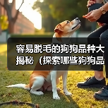 容易脱毛的狗狗品种大揭秘(探索哪些狗狗品种容易脱毛及如何有效应对)(图3) 容易脱毛的狗狗品种大揭秘(探索哪些狗狗品种容易脱毛及如何有效应对)(图3)