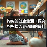 狗狗的健康生活（探究狗狗摄入卵磷脂的最佳时机，让你的宠物更健康！）（图1）