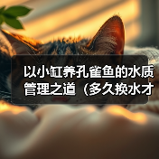以小缸养孔雀鱼的水质管理之道(多久换水才能让孔雀鱼健康成长?)(图2) 以小缸养孔雀鱼的水质管理之道(多久换水才能让孔雀鱼健康成长?)(图2)