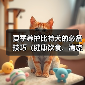 夏季养护比特犬的必备技巧（健康饮食、清凉防晒，让您的比特犬度过一个舒适的夏天）（图3）