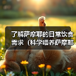 了解萨摩耶的日常饮食需求(科学喂养萨摩耶,让它健康成长)(图1) 了解萨摩耶的日常饮食需求(科学喂养萨摩耶,让它健康成长)(图1)