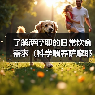 了解萨摩耶的日常饮食需求(科学喂养萨摩耶,让它健康成长)(图2) 了解萨摩耶的日常饮食需求(科学喂养萨摩耶,让它健康成长)(图2)