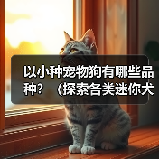 以小种宠物狗有哪些品种?(探索各类迷你犬的迷人特质和适应家庭生活的优势)(图4) 以小种宠物狗有哪些品种?(探索各类迷你犬的迷人特质和适应家庭生活的优势)(图4)