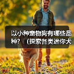以小种宠物狗有哪些品种?(探索各类迷你犬的迷人特质和适应家庭生活的优势)(图1) 以小种宠物狗有哪些品种?(探索各类迷你犬的迷人特质和适应家庭生活的优势)(图1)