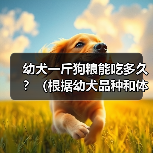 幼犬一斤狗粮能吃多久？（根据幼犬品种和体重来计算所需狗粮量）（图1）