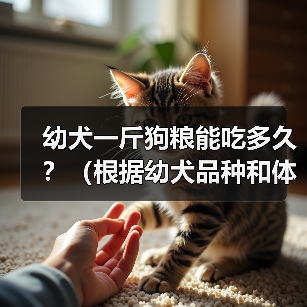 幼犬一斤狗粮能吃多久？（根据幼犬品种和体重来计算所需狗粮量）（图4）