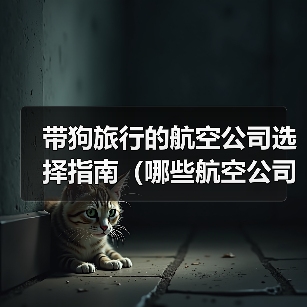 带狗旅行的航空公司选择指南（哪些航空公司可以带狗？带狗旅行前你需要了解的重要信息）（图4）