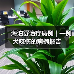 海泊舒治疗病例 | 一例犬咬伤的病例报告（图2）