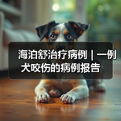 海泊舒治疗病例 | 一例犬咬伤的病例报告（图4）