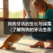 狗狗牙齿的生长与掉落（了解狗狗的牙齿生命周期及掉牙过程）（图1）