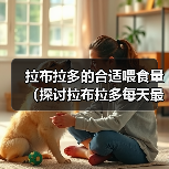 拉布拉多的合适喂食量（探讨拉布拉多每天最合适的喂食量及喂食技巧）（图2）