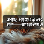 如何防止德国牧羊犬咬鞋子——宠物爱好者必看的防护指南（建立正确的行为模式，让你的爱犬不再咬鞋子）（图3）